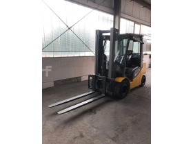 Jungheinrich TFG430s - Zdjęcie: 2