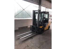 Jungheinrich TFG430s G+E160-330ZZ - Zdjęcie: 2