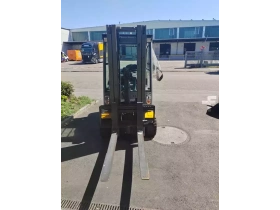 Jungheinrich EFG 318 - Zdjęcie: 2