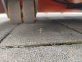 1024x45459_F-15461-20.jpg