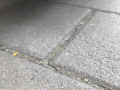 1024x45459_15781-9.jpg
