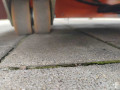 1024x45459_15461-12.jpg